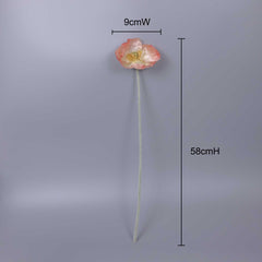 Big-head Poppy Single Stem 58cmH