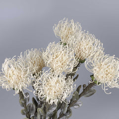 Artificial Leucospermum Stem 47cmH