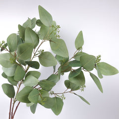 Eucalyptus Seeded Silver Dollar Spray 70cmH