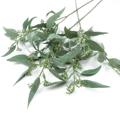 Eucalyptus Leaf Spray with Seeds 63cmH