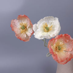 Big-head Poppy Single Stem 58cmH